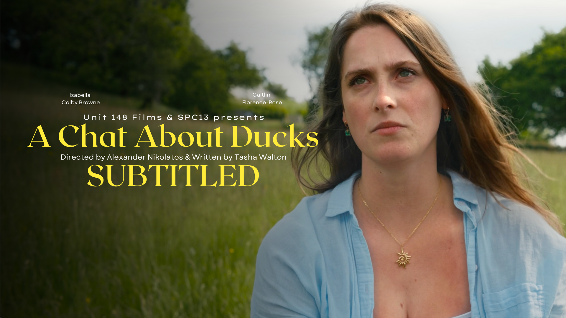 A Chat About Ducks